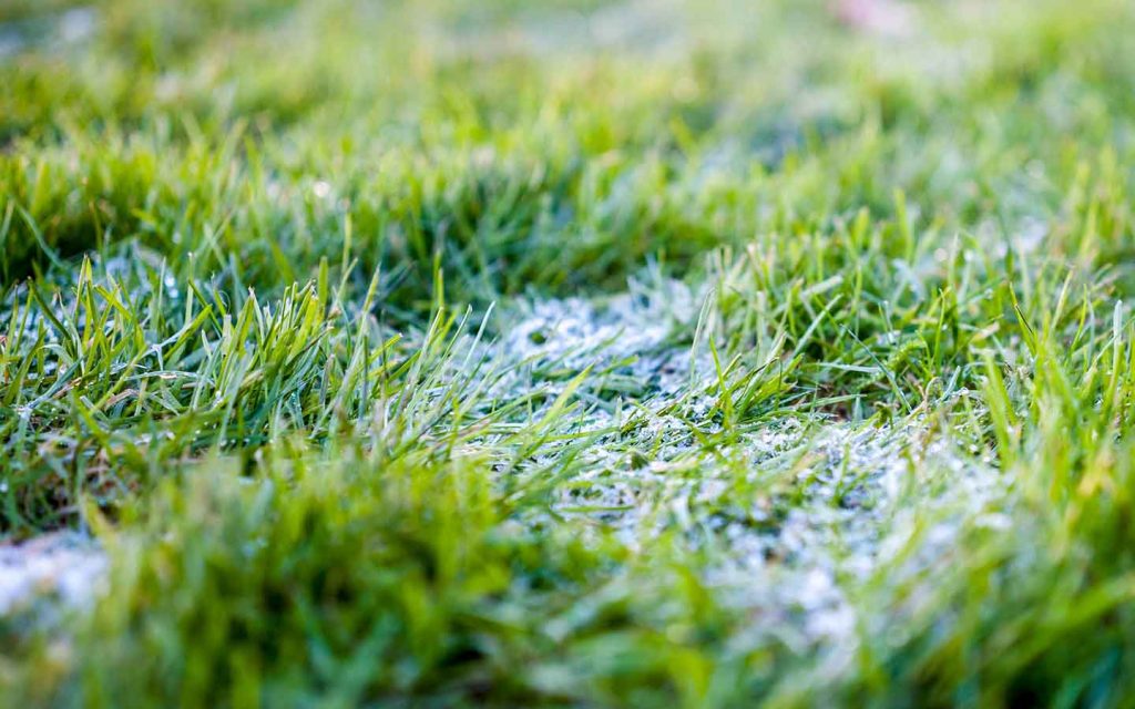 Los paneles de yeso triturados pueden tener usos en agricultura